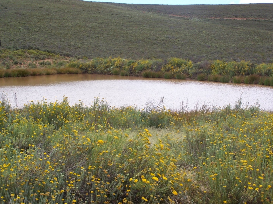 Commercial Property for Sale in Montagu Rural Western Cape